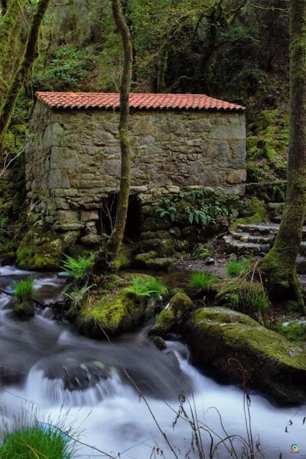 Eirixo Villa Valga Eksteriør bilde